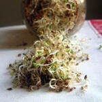 superfood-page